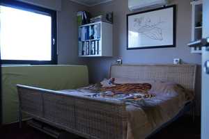 Bungalow mit vielen Extras und Möglichkeiten – Mönchengladbach – Vorschaubild 5