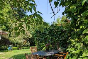 Idyllisches Freizeitgrundstück mit schickem Tinyhaus und Platz für mehr! – Berlin – Vorschaubild 15