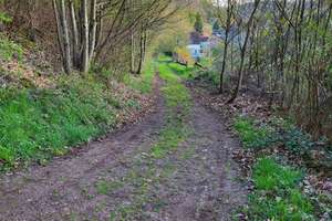 Natur pur: Wohngebäude + Bauplatz + 5ha Wald in Beckingen – An Millessen 30, 66701 Beckingen – Vorschaubild 3