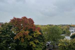 Property thumbnail 26