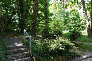 Wohngenuss & Rheinblick, frisch modernisiert mit Rundum-Panorama-Balkon, neues Bad, Gäste-WC, Aufzug – Krohstraße 4, 50968 Bayenthal, Köln – Vorschaubild 23