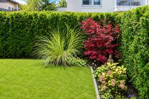 Hochwertige Gartenwohnung in München – provisionsfrei mit Tiefgarage – Medererstraße 16, 80997 Allach, München – Vorschaubild 10