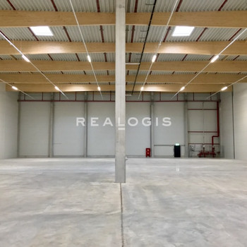 NEUBAU: ca. 1.600 qm Lager-/Logistik-/Produktionsflächen | Rampe + ebenerdig | bis zu ca.10,50 m UKB