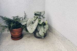 Stilvoll sanierte Altbauwohnung mit Süd-Ausrichtung und Balkon im beliebten Winsviertel – Die vollständige Adresse der Immobilie erhältst du vom Anbieter., 10405 Prenzlauer Berg, Berlin – Vorschaubild 13