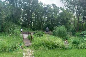 Exklusives Einfamilienhaus in Top-Zustand mit herrlichem Südgarten. Beste Wohnlage im Berggebiet – Die vollständige Adresse der Immobilie erhältst du vom Anbieter., 96049 Babenberger Viertel, Bamberg – Vorschaubild 17