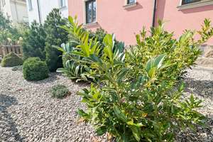 Doppelhaushälfte mit 3 Garagen, Wintergarten, Balkon und kleinem Garten! In guter Lage, Stadtteil Gl – Die vollständige Adresse der Immobilie erhältst du vom Anbieter., 95447 Glocke/Saas, Bayreuth – Vorschaubild 17