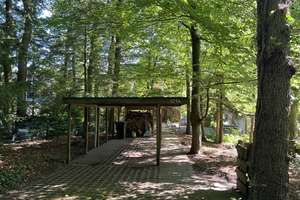 Naturnah wohnen an der Saselbek
Doppelhaushälfte mit großem Garten – Die vollständige Adresse der Immobilie erhältst du vom Anbieter., 22393 Sasel, Hamburg – Vorschaubild 19
