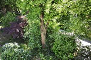 Licht. Ruhe. Natur. Exklusive 5-Zimmer-Wohnung in bester Vauban-Lage – 79100 Vauban, Freiburg im Breisgau – Vorschaubild 5