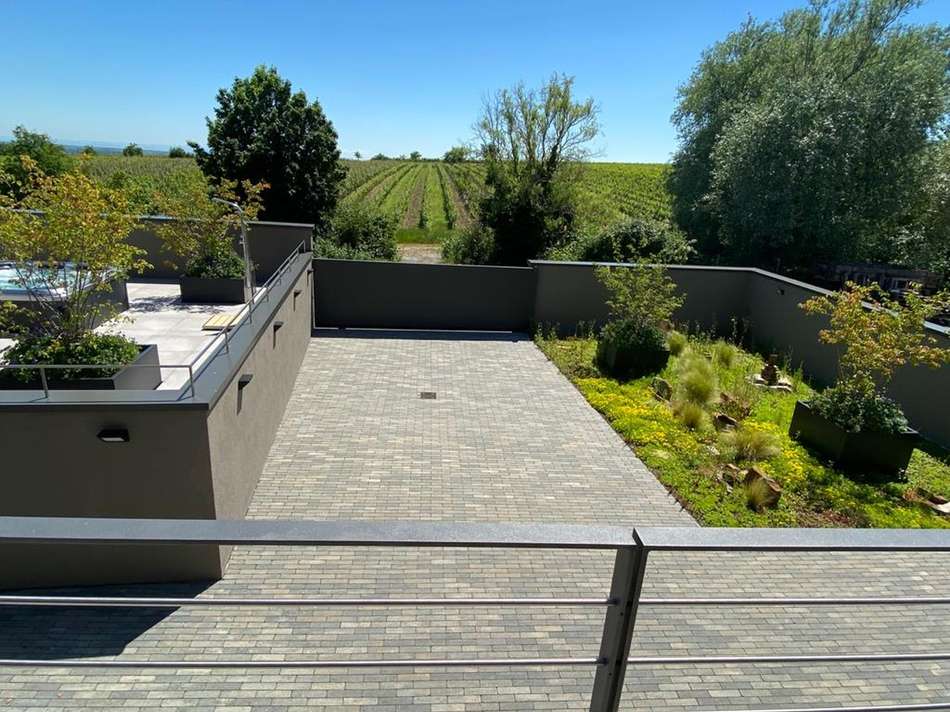 PHOTO202106141558251