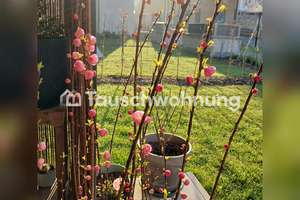 Tauschwohnung: Suche 2-3-Zimmer-Wohnung in Westen Leipzigs bis 850€ – 4229 Plagwitz, Leipzig – Vorschaubild 4