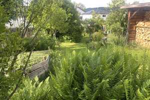 Besondere Immobilie mit großem Garten – Main-Kinzig-Kreis – Vorschaubild 1