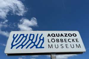 Property thumbnail 28