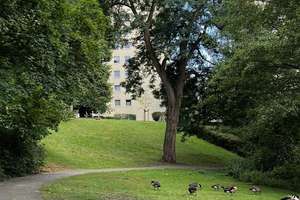 Property thumbnail 7