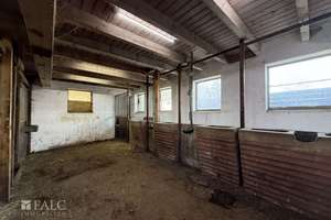 ***Mehrfamilienhaus & Exklusiver Pferdehof mit Reitanlage auf ca 21.000 m² Grundstück*** – Die vollständige Adresse der Immobilie erhältst du vom Anbieter., 37574 Einbeck – Vorschaubild 24