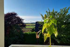 Arbeiten und Wohnen in Villa mit Wohlfühl-Garten + Schwimmbad – Miltenberg (Kreis) – Vorschaubild 47
