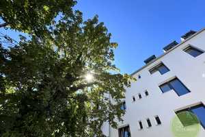NICE ** NEU saniert & "neuer" AltbauCharme nahe Wiesengrund ** Balkon ** 3 Zimmer ** knapp 73 qm ** – Gutenbergstrasse 23, 90766 Fürth – Vorschaubild 3