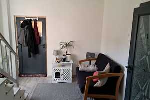 Landhaus für Gartenfreunde und Tierhalter! – Oder-Spree (Kreis) – Vorschaubild 6