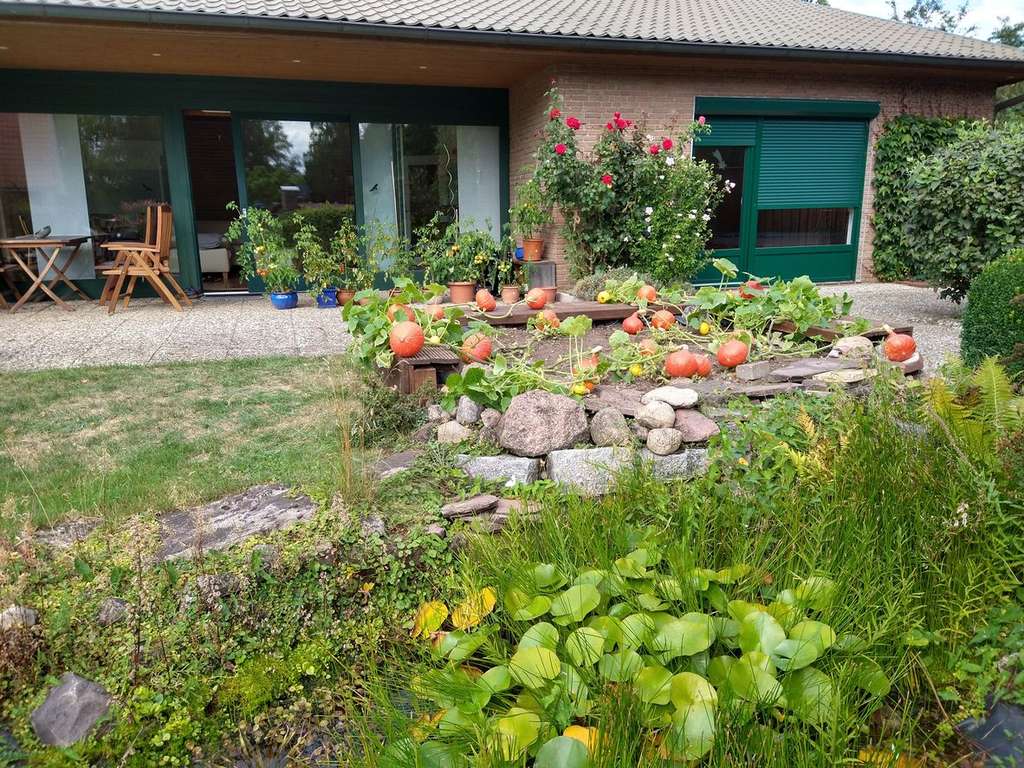 Immobilie in Handeloh - Stilvoller Bungalow am Büsenbachtal - Bild 1