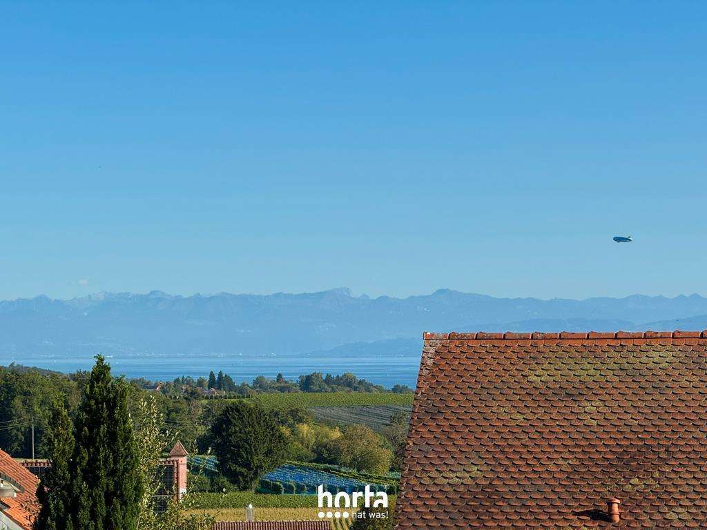 Immobilie in Daisendorf - Doppelhaushälfte mit ELW und Panorama-See- und Alpensicht in Daisendorf - Bild 4