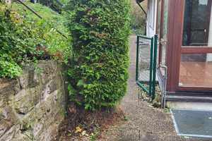 Top Lage Zweifamilienhaus mit Einliegerwohnung und großen Garten – Hohenlohekreis – Vorschaubild 3