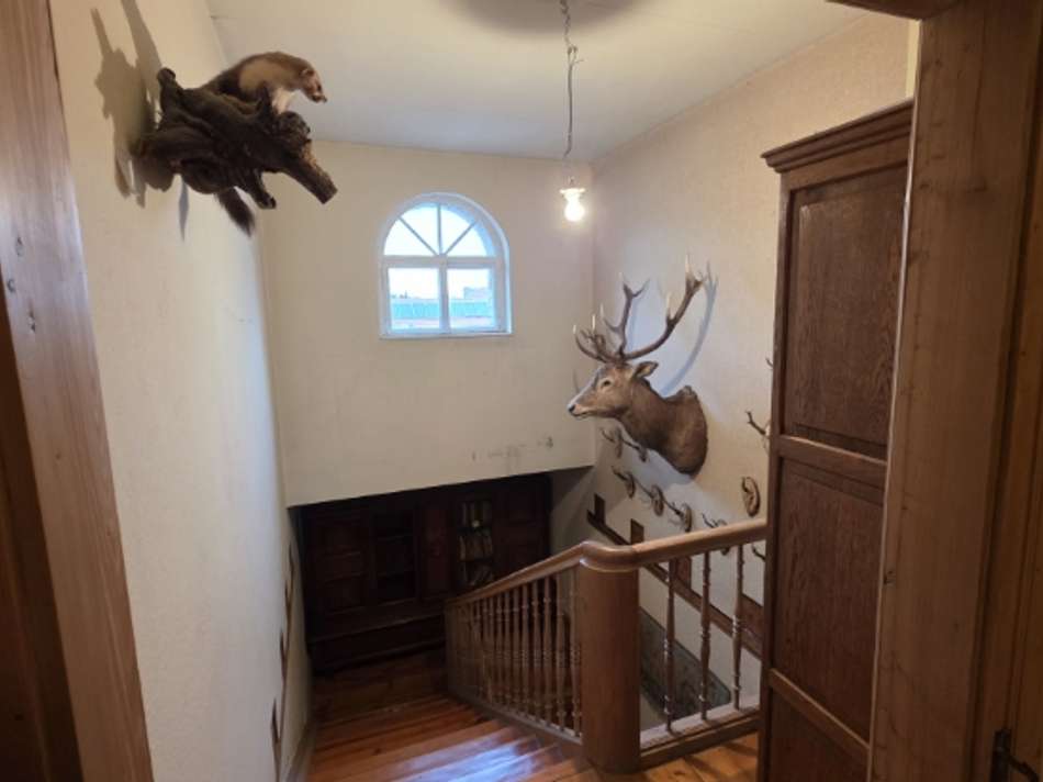 VK-1519 Dachgeschoss (12)