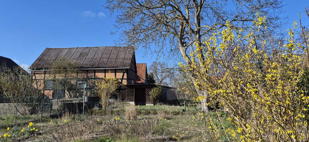 Immobilie in Dannenberg - Stadtnahes Wohnen auf großem Grundstück - Viel Platz für Ihre Ideen - Bild 3