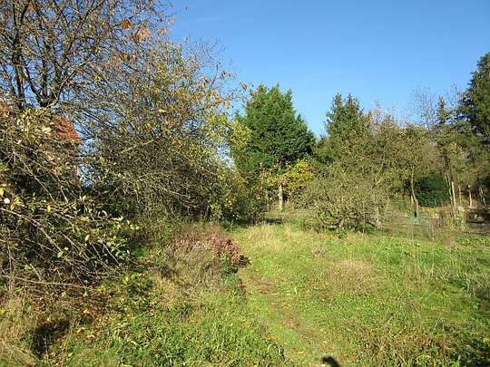 Garten 2 Garten 2