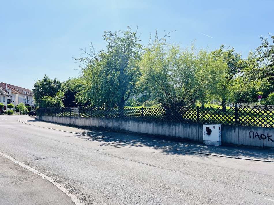 Flst.Nr. 8920_3_Bild2