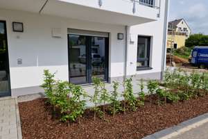 Kapitalanleger - Vermietetes Mehrfamilienhaus mit 3 Wohnungen inkl. 3 Garagen + 1 Stellplatz – Domherrenwald 4, 54296 Kernscheid, Trier – Vorschaubild 5