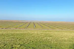 Ebenerdiges Wohnen in Nordseenähe – Nordfriesland (Kreis) – Vorschaubild 18