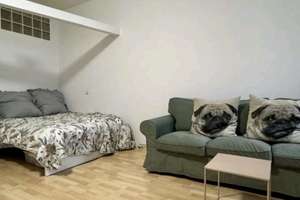 Charmante 1-Zimmer Wohnung im EG in Regensburg Innenstadt – Glockengasse 6, 93047 Innenstadt, Regensburg – Vorschaubild 5