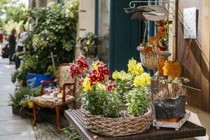 Property thumbnail 10