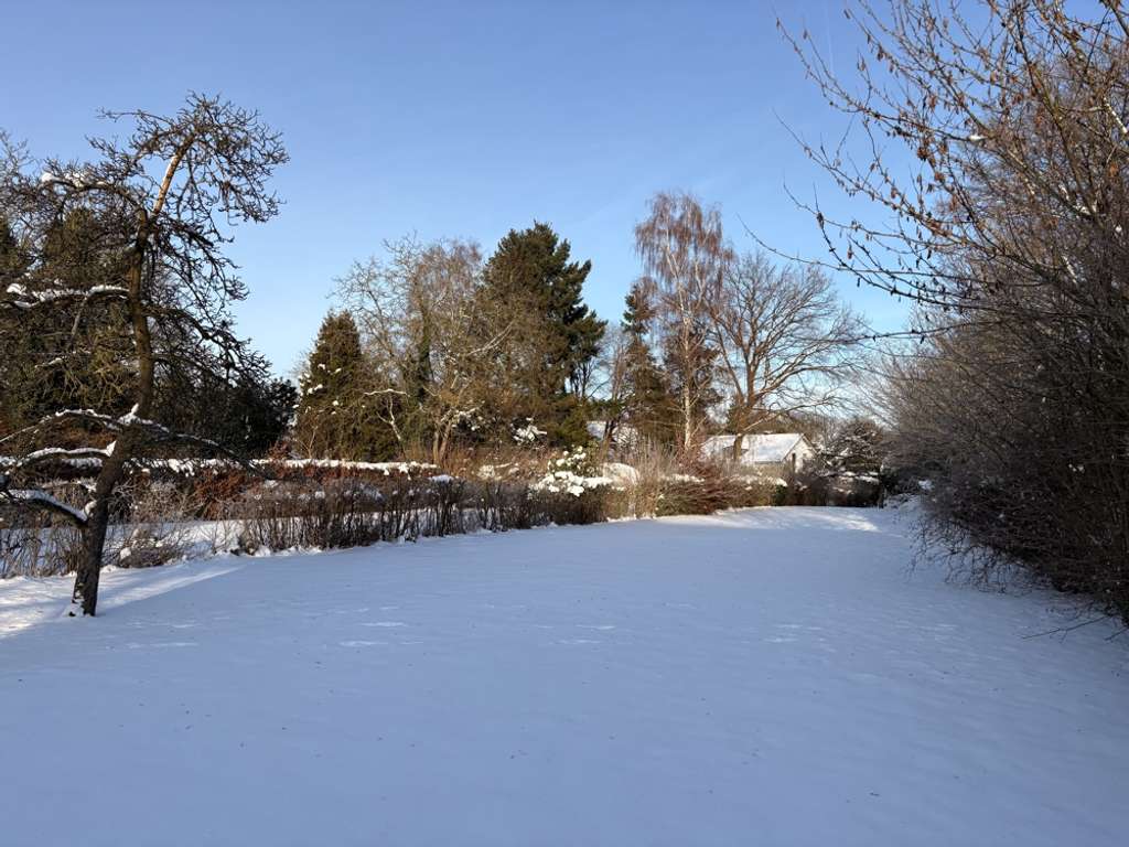 Immobilie in Großhansdorf - Viel Platz und Potential auf traumhaftem Grundstück - vorne Stadt - hinten Land - Natur pur! - Bild 4