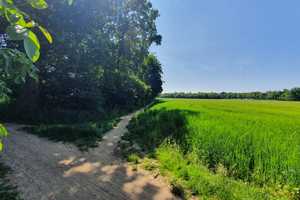 Property thumbnail 15