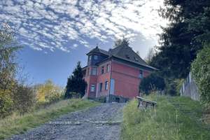 welch ein SCHNÄPPCHEN!!! RESIDIEREN in Steinachs Fabrikanten-VILLA KEIN Traum – Haynsberg 1a, 96523 Steinach – Vorschaubild 7