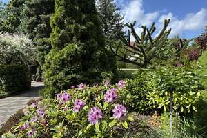 Ein Haus wie kein anderes – Stil, Platz & Gartenmagie in Wolfen – Die vollständige Adresse der Immobilie erhältst du vom Anbieter., 6766 Bitterfeld-Wolfen – Vorschaubild 14