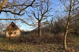 In Ungarn! Weinberg mit Haus in Ungarn, Nähe Balaton – Petöfi Sandor utca 1, 8734 Berlin – Vorschaubild 6