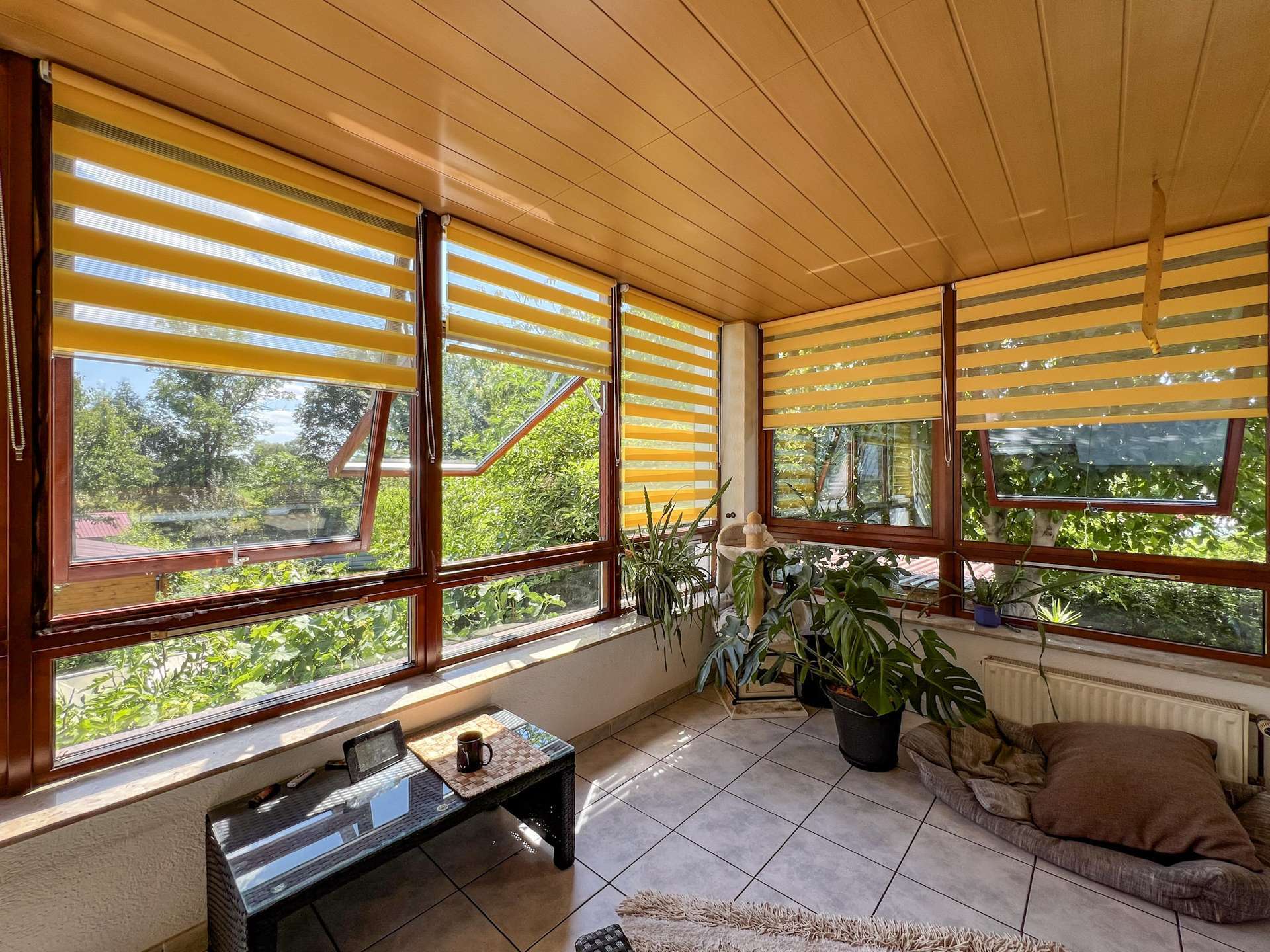 Immobilie in Mockrehna - Zeitnah einziehen! Balkon | Wintergarten | Kaminzimmer | Garten | Carport u.v.m. - Bild 1