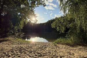 Property thumbnail 38