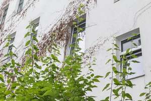HOMESK - Erstbezug nach Sanierung! 4-Zimmer Altbau mit je Balkonen und Bädern im Prenzlauer Berg – Schönfließer Straße 2, 10439 Prenzlauer Berg, Berlin – Vorschaubild 39