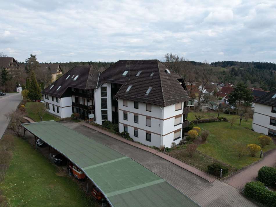 dji_fly_20250324_160846_421_17