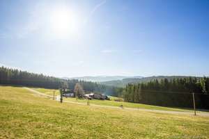 Rückzugsort im Schwarzwald: Charmantes Schwarzwaldhaus in Alleinlage mit 1.482 m² Naturgrundstück – Die vollständige Adresse der Immobilie erhältst du vom Anbieter., 79822 Titisee-Neustadt – Vorschaubild 19