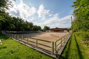 Moderne Reitanlage mit Wohnhaus – Toplage im Rhein-Main-Gebiet – Die vollständige Adresse der Immobilie erhältst du vom Anbieter., 55271 Stadecken-Elsheim – Vorschaubild 12
