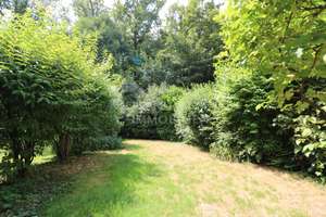 Grünoase in Amorbach: Reihenmittelhaus direkt am Wald – Die vollständige Adresse der Immobilie erhältst du vom Anbieter., 74172 Neckarsulm – Vorschaubild 2