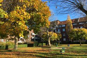 Wanheimerort - Thorner Straße,  2 1/2 Zimmer Wohnung zum 01.12.2025 zu vermieten – Thorner Strasse 4, 47055 Wanheimerort, Duisburg – Vorschaubild 2