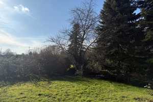 Einfamilienhaus in idyllischer Ortsrandlage – Ortenaukreis – Vorschaubild 18
