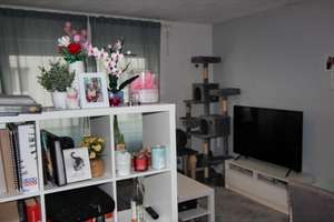 Mehrfamilienhaus in Söflingen - modernisiert. Selber herrlich wohnen und 
2 Wohnungen vermieten !  – Die vollständige Adresse der Immobilie erhältst du vom Anbieter., 89081 Söflingen, Ulm – Vorschaubild 12