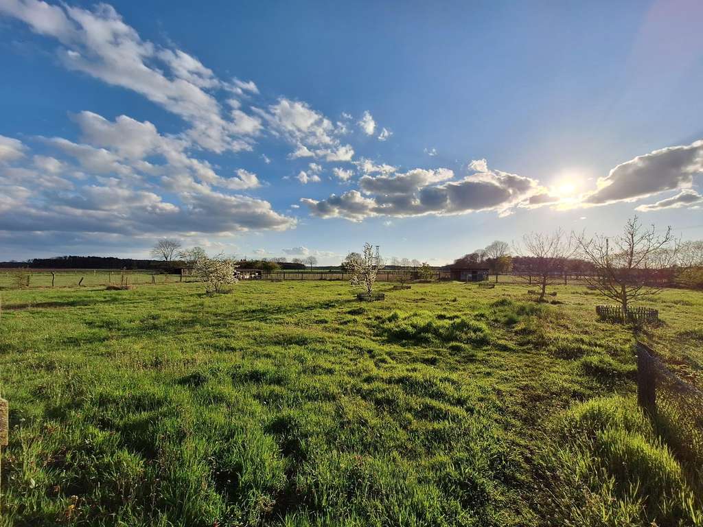 Immobilie in Wittingen - Resthof mit Weide und großem Garten - ideal für Selbstversorger und Tierbesitzer - 1,37ha - Bild 1