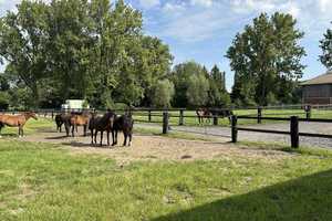 Reitanlage mit 40er Halle auf 7,3 ha zu verkaufen – Coesfeld (Kreis) – Vorschaubild 2