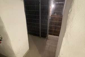 Sehr schöne 2-Zimmer-Wohnung mit Balkon in Erfurt – Theaterstraße 4, 99084 Brühlervorstadt, Erfurt – Vorschaubild 21